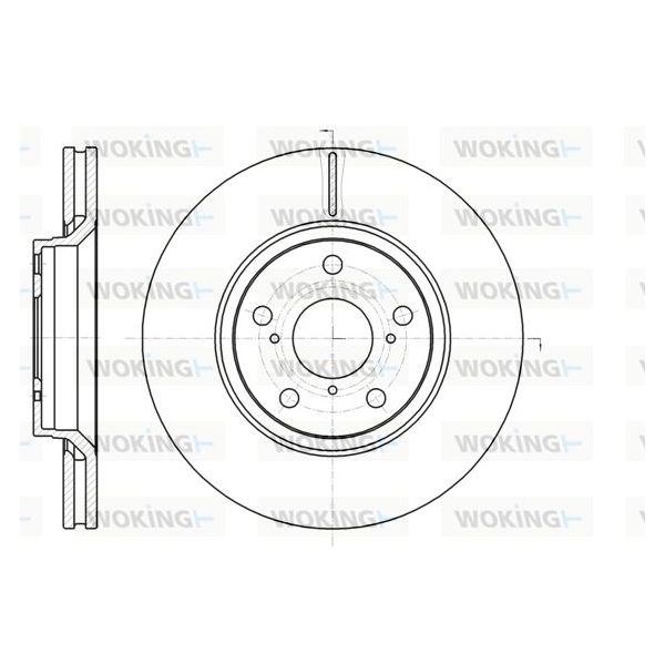 WOKING Disco de Travão - D61121.10