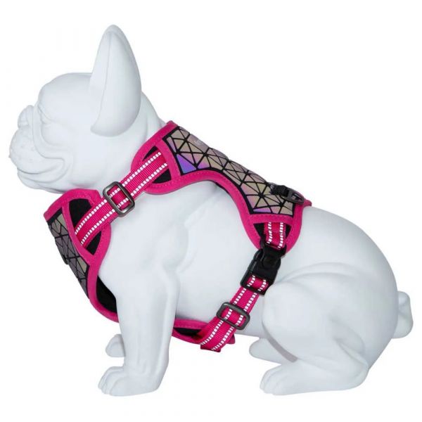 FreeDog Arnês Boreal Fúcsia M