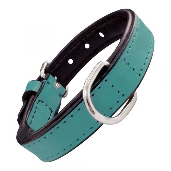 Hs Sprenger Coleira Acolchoado Turquesa (35 x 1,5 cm)