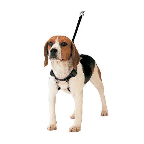 Gloria Pets Trela Peitoral Anti-puxões L
