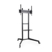 TooQ Ramsés 177,8 cm (70") Preto
