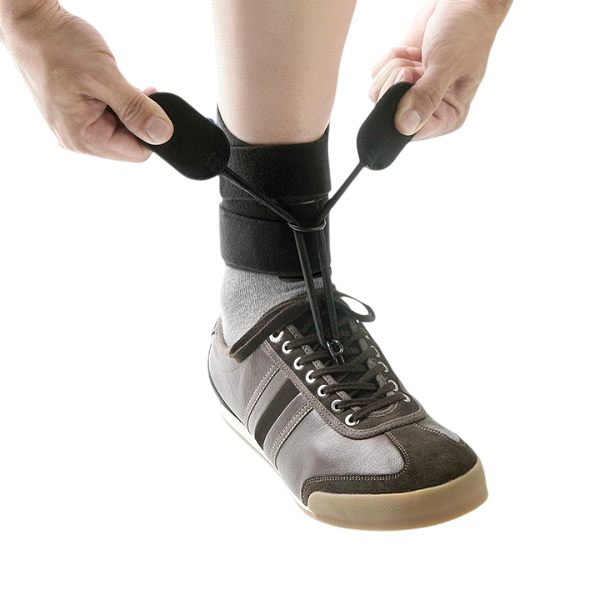 Elastico de Tracção de Boxia (2)