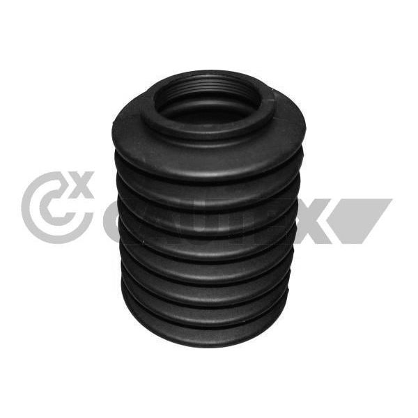 Cautex Fole, Direcção - 030262