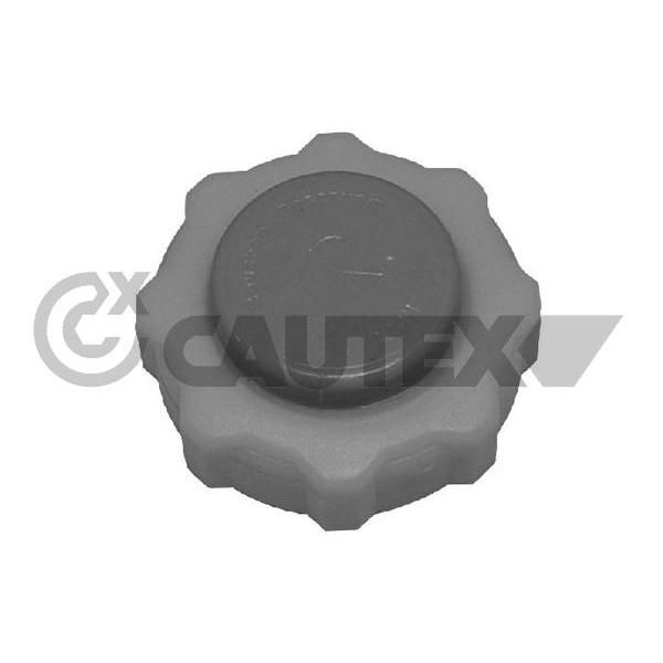 Cautex Tampa de Fecho, Recipiente de Líquido de - 954143