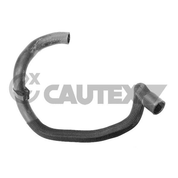 Cautex Tubo Flexível do Radiador - 031066