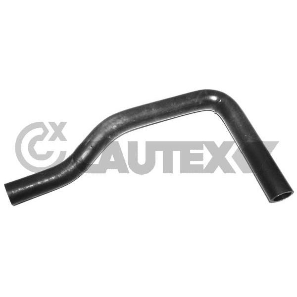 Cautex Tubo Flexível do Radiador - 031074