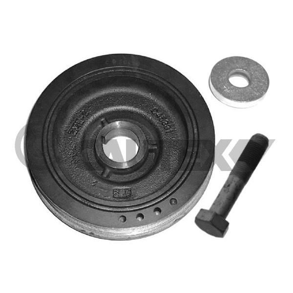CAUTEX Kit da Polia da Correia da Cambota - 752333