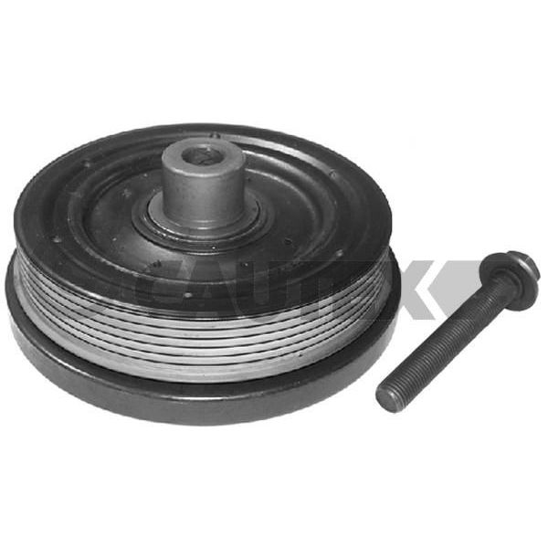 CAUTEX Kit da Polia da Correia da Cambota - 752339
