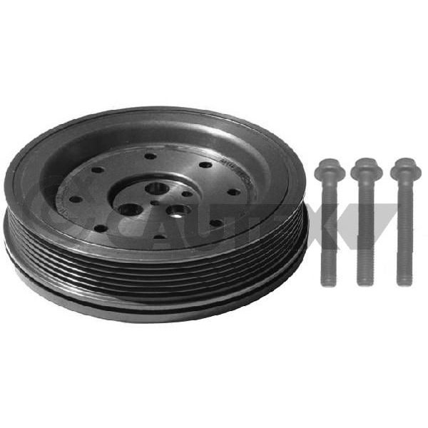 CAUTEX Kit da Polia da Correia da Cambota - 752342