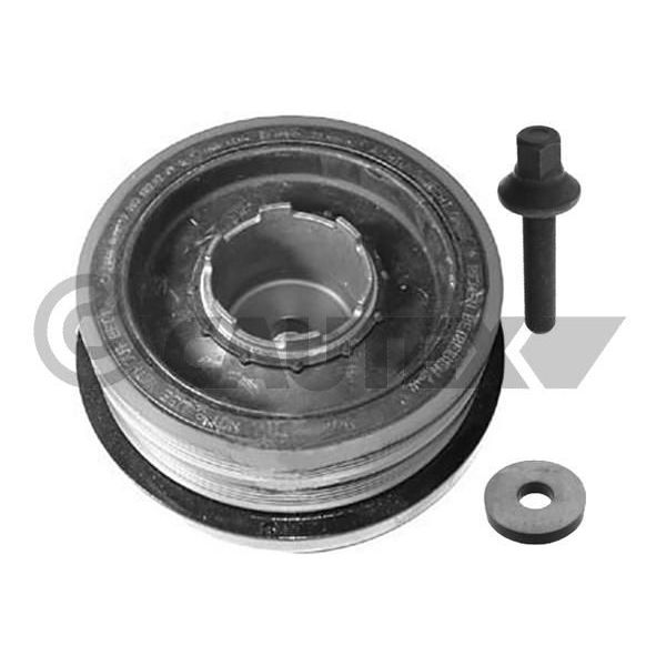 CAUTEX Kit da Polia da Correia da Cambota - 752349
