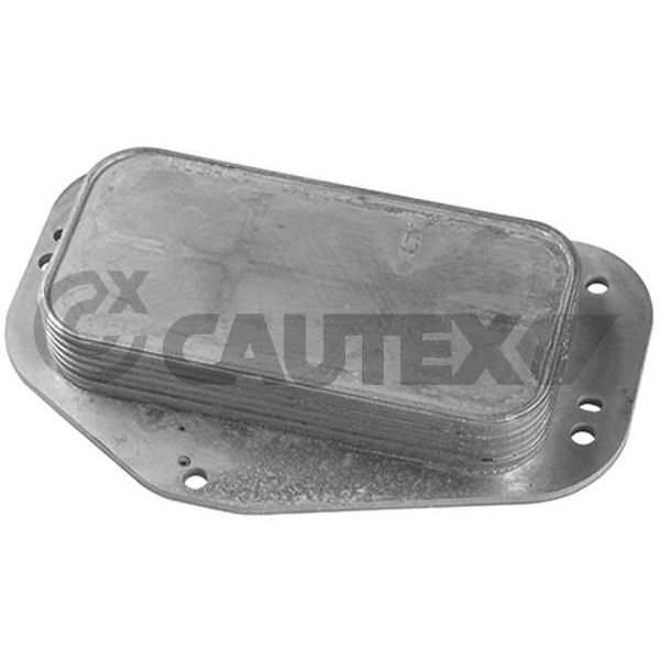 Cautex Radiador de Óleo, Óleo do Motor - 751824