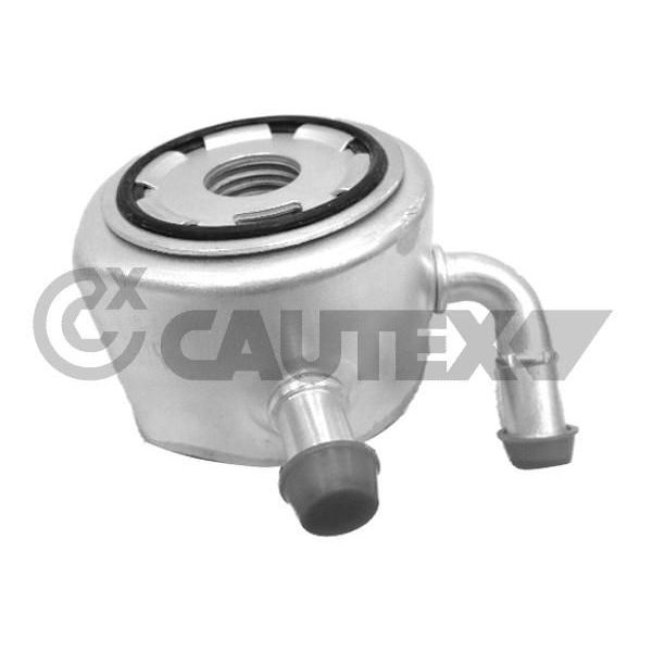 Cautex Radiador de Óleo, Óleo do Motor - 021359