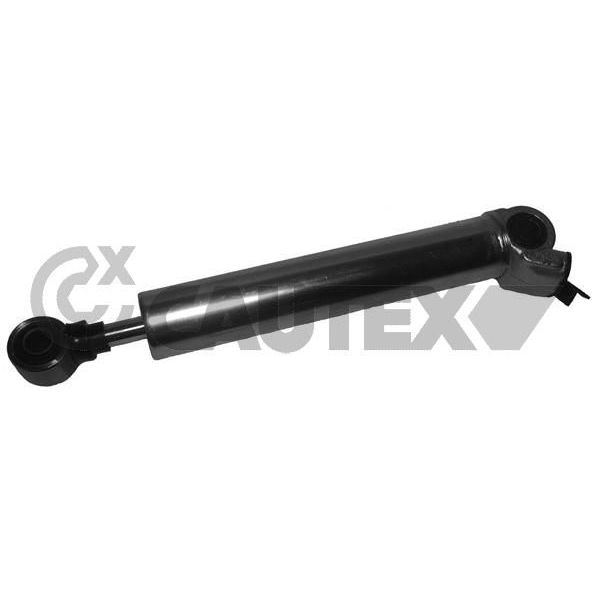 Cautex Cilindro Actuador, Direcção Assistida - 031708