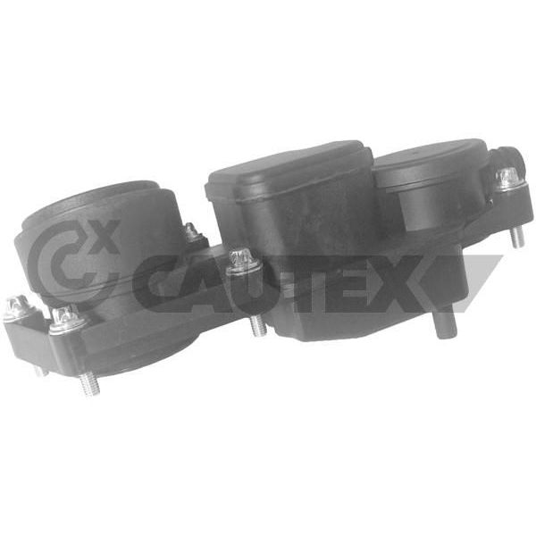 Cautex Separador de Óleo, Respiro do Cárter da - 181145