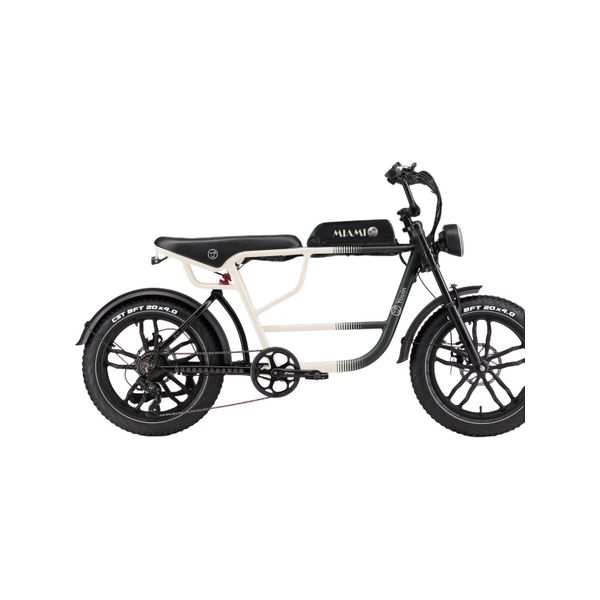 Youin Bicicleta Elétrica Miami Style 20" 250W Preta - BK7000