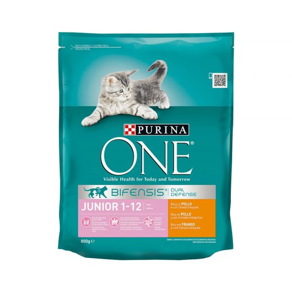 Purina One Júnior Frango & Arroz 800g