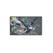 Philips Monitor Profissional 5%" 55BDL3511Q/00 LED 4K