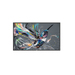 Philips 86BDL3511Q/00 Public Display Plasma digital 2,18 m (86") IPS 400 cd/m² 4K Ultra HD Preto