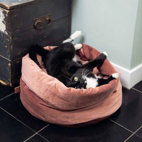 Designed By Lotte 425583 Cat Basket "fluco" Pink - 425583