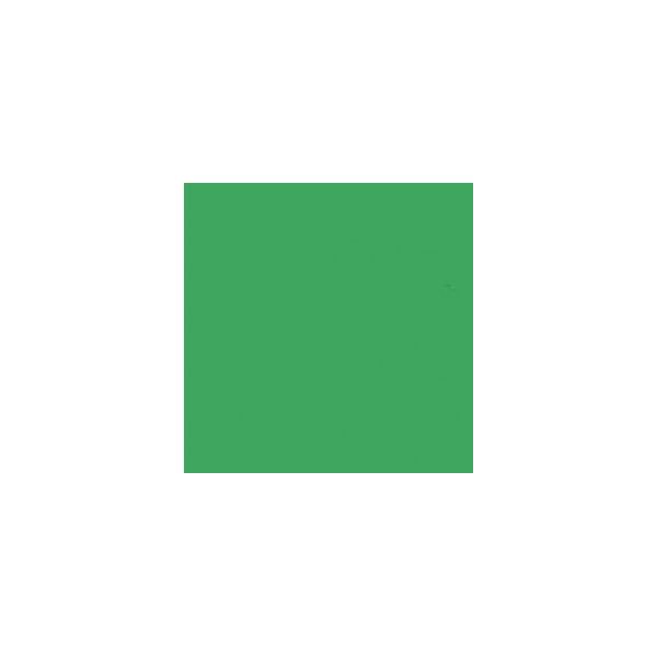 Linkstar Papel 2,72x11m Verde Chroma 46 Fundo