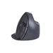 Evoluent Vertical Mouse D Medium - BNEEVRDW