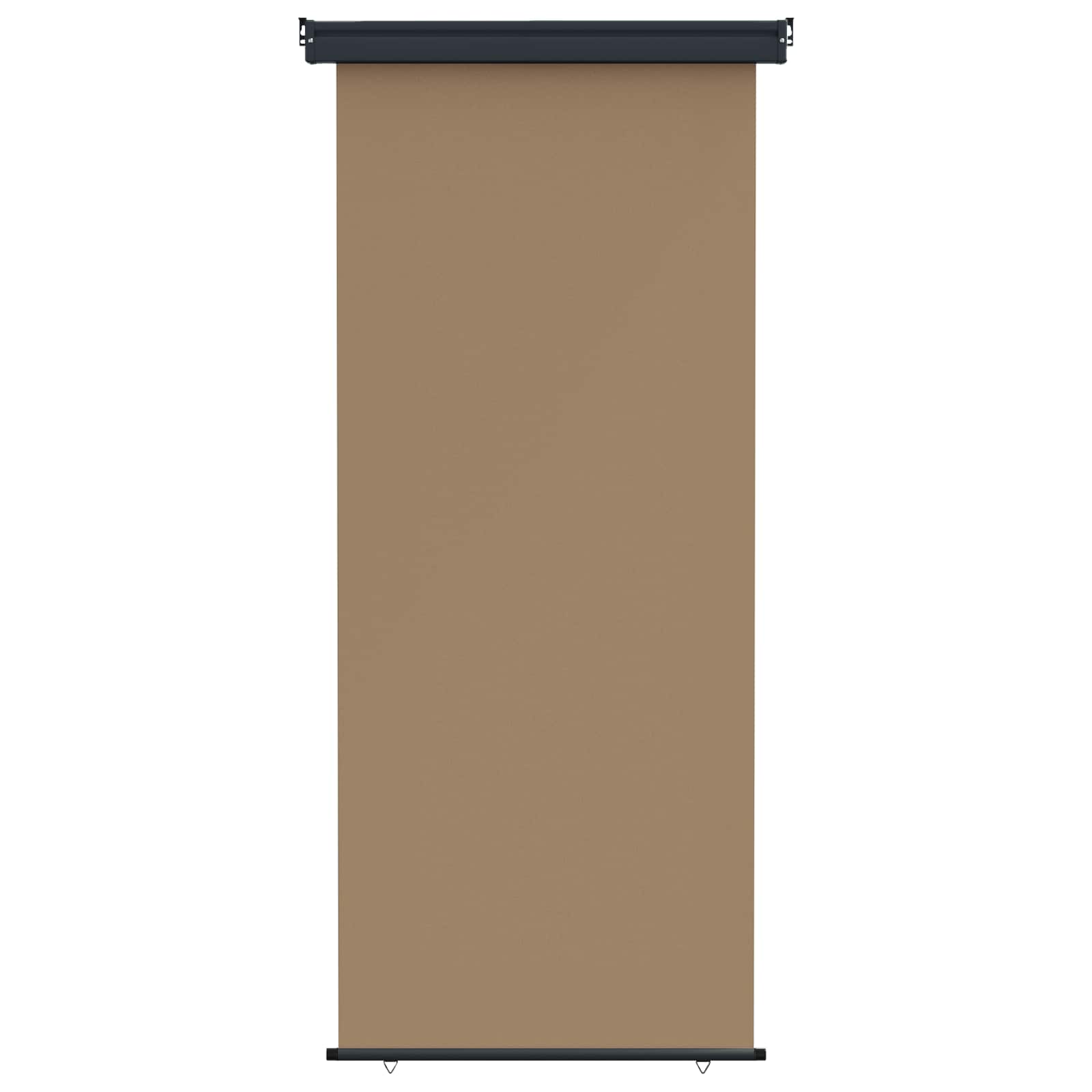 vidaXL Toldo Lateral de Varanda 100% poliéster, ferro e aço