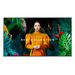 Samsung QH75C Plasma digital 190,5 cm (75") LCD Wi-Fi 700 cd/m² 4K Ultra HD Preto Tizen 24/7