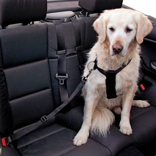 Kerbl Cinto Segurança P/cão M