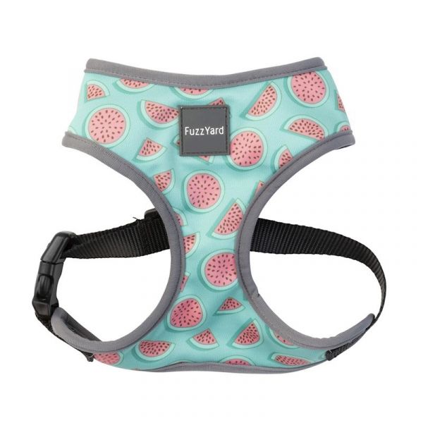 FuzzYard Peitoral Summer Punch XL