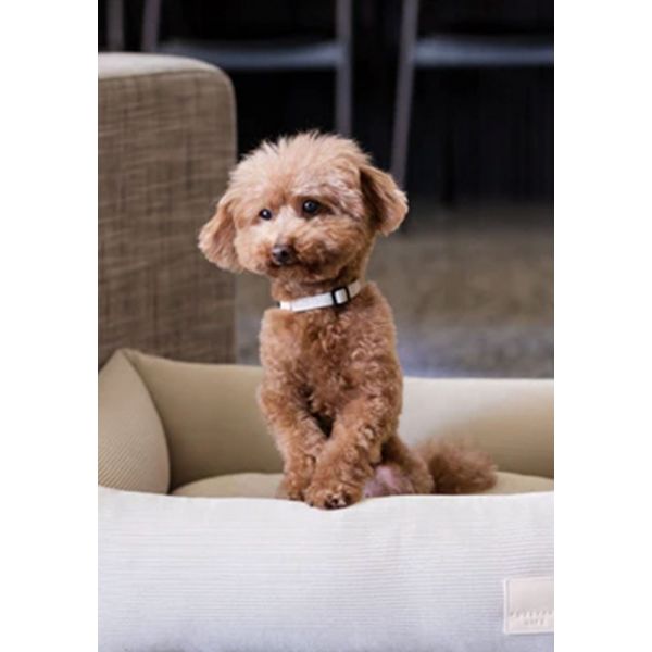 Fuzzyard Coleira Life Cotton Sandstone L