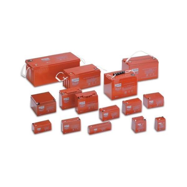 ZENITH Bateria AGM Selada 6 V 12 AH ZGL060026