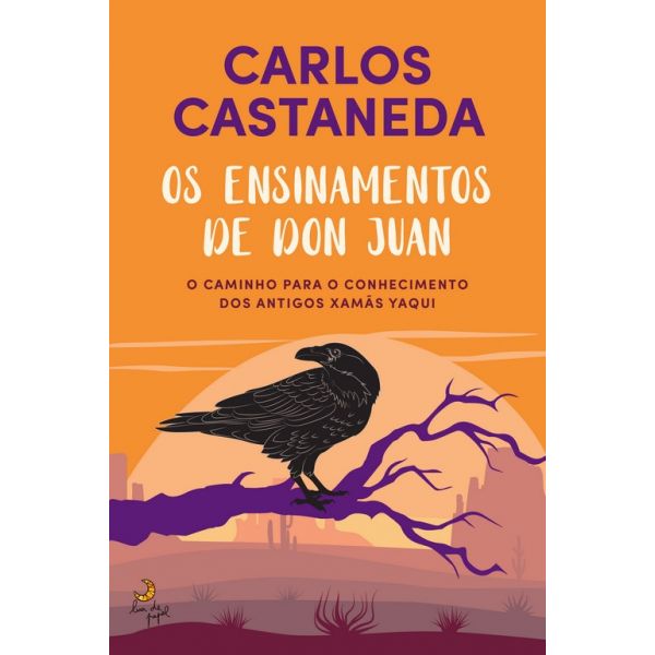 Os Ensinamentos de Don Juan