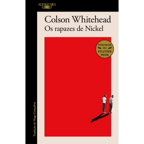 Os Rapazes de Nickel